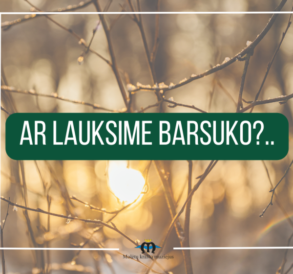 Ar lauksime barsuko?..